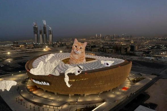 a gigant cat sitting in the quatari stadium designated for the worldcup final as if it were a box. shredded pieces of the tournaments mascot laying around. disclaimer here: as the mascot is a keffiye; the fact that the cat has shredded it, does in no way direct against that tradition , nor IN NO WAY DOES IT DIRECT AGAINST A TOURNAMENT BEING HELD IN A COUNTRY WITH ISLAMIC TRADITION. cats simply kike tho shred things that hoover around in the air, even more if they are mascot of a corrupt human blood fueled spectacle by a federation that is an embodiment of corruption.