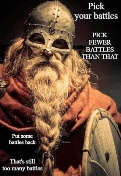 some kind of like viking or norse warrior guy (i don't know the difference and i don't care, don't @ me) with a metal helmet and a long gray braided beard and a cloak and a shield. there's text scattered around him which says:
Pick your battles
PICK FEWER BATTLES THAN THAT
Put some battles back
That's still too many battles