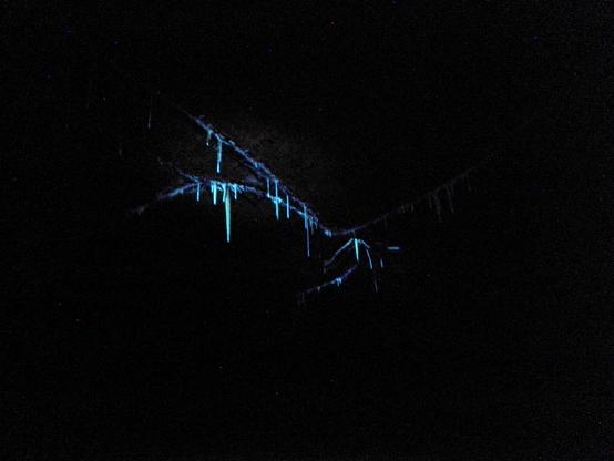 Glowing calcite stalagmites in a cave.