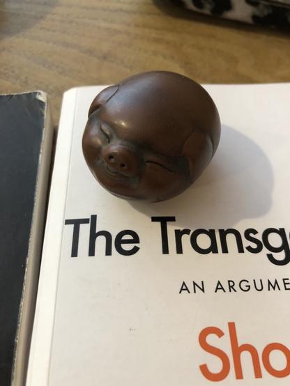 Little tea pet in the shape of a piglet.