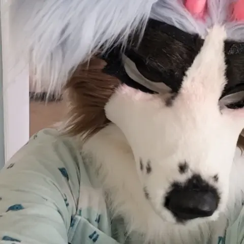 Top down view