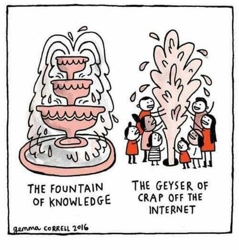 Cartoon by Gemma Correll.

Picture of a fountain with the words "THE FOUNTAIN OF KNOWLEDGE " under it
and next to it is a picture of a geyser with people huddled around it and the words "THE GEYSER OF CRAP OFF THE INTERNET" under it.
