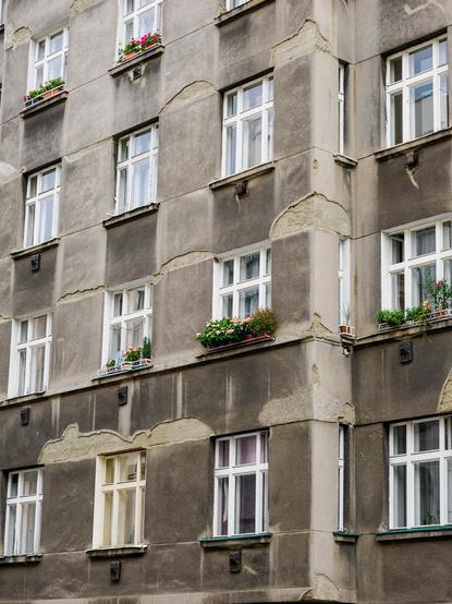 Eine etwas graue und marode Altbaufassade mit gleichmäßig angeordneten Fenstern. Die Fensterrahmen scheinen in einem frischen weiß. Teilweise sind die Fensterbänke nach außen mit bunten Blumen dekoriert.