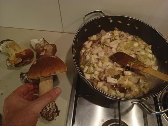 Une main tient un cèpe et à côté cuit une pleine poêlée de cèpes dans une casserole
