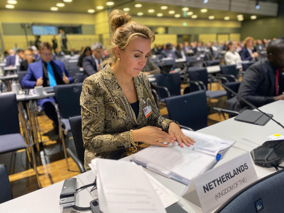 Staatssecretaris zit in een zaal voor een microfoon haar stukken door te nemen.