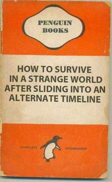 An old Penguin book cover with the title: 

HOW TO SURVIVE IN A STRANGE WORLD AFTER SLIDING INTO AN ALTERNATE TIMELINE