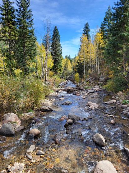 Taken in a bridge over a river. Golden Aspen and green pines are in the background.