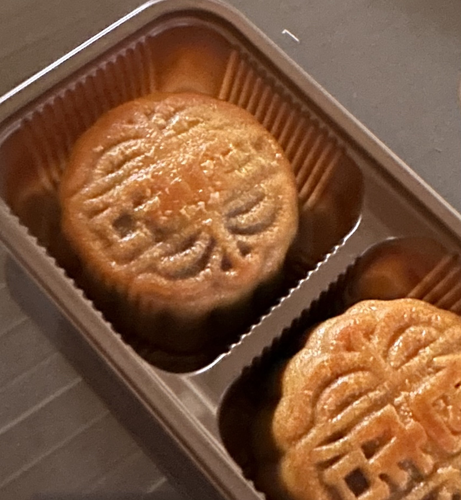A close image of two mooncakes with embossed tops  in a packet