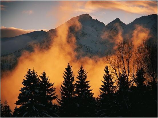 Cadrage serré sur des montagne.s enneigées, en arrière-plan. Devant ces montagnes, se trouve une vallée recouverte par un nuage. La lumière du soleil de la fin de la journée, diffuse dans ce nuage en une lumière translucide orangée. En premier plan, on a quelques arbres (sapins) dont on ne distingue que la silhouette, du fait du contrejour.