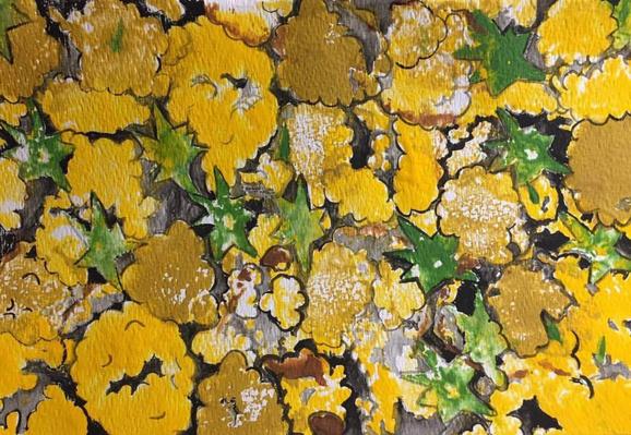 Top down view of gold and green treetops separated by veins of black.