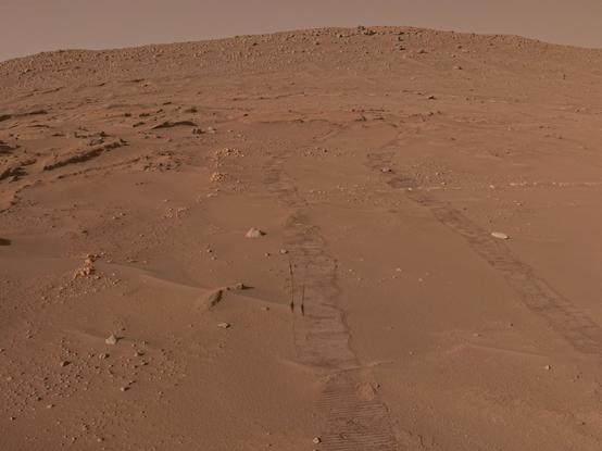 image taken by the Perseverance rover on Sol 929, looking back at the tracks it created while driving through the sand in the Margin Carbonate Unit. What appears to be a many meters long vein like structure with three ends meeting in one place can be seen in the view. The rocks look very crumbly and in one place where the rover rolled over one it appears as a very bright spot.