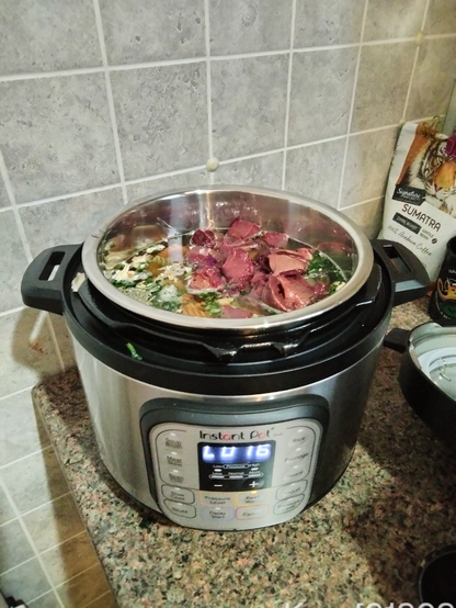 Pork heart stew with a bit of most things; the InstaPot’s status is LO:16. A bag of Sumatran whole bean dark roast featuring a tiger is in the background. This is not how I feel most mornings though.