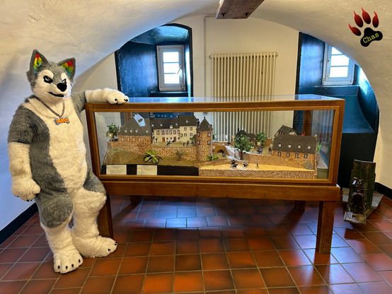 furry husky standing next to model of Bilstein castle in the vaulted cellar of said castle