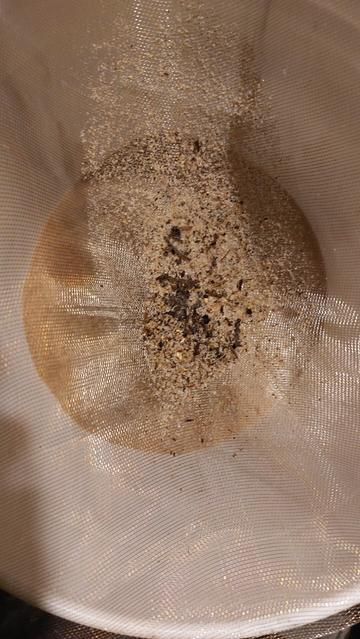 Leftover bits after the sand has gone through the screen. Mostly bits of leaves and crud.