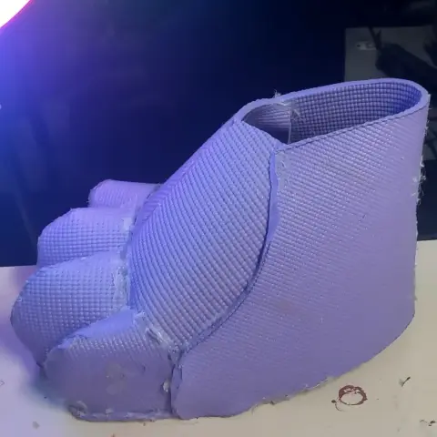 Footpaw base side view