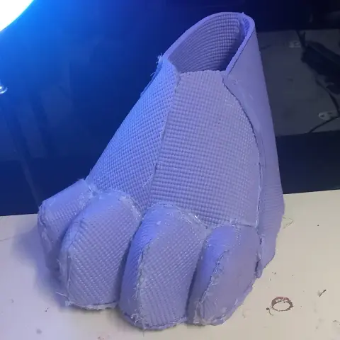 Paw base front view