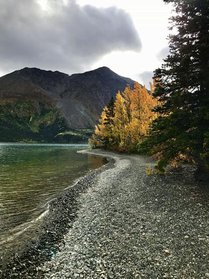 Golden aspen on the shores of a lake with a craggy mountain on the far shore.