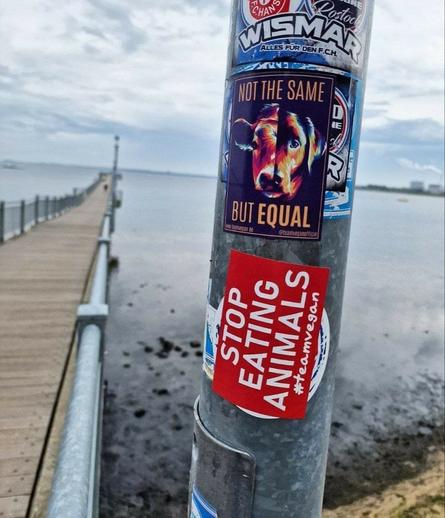 Die Seebrücke Bad Wendorf, am Lichtmast Aufkleber mit der Aufschrift "Stop Eating Animals"
und "Not the Same but Equal" mit Halb Hunde und halb Kalbskopf.