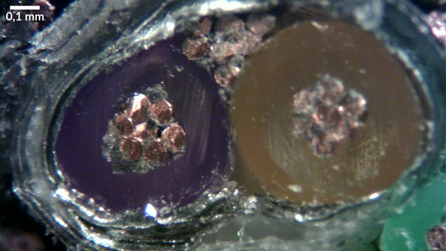 Mikroskopieaufnahme, ca. 0,8mm x 1,6mm, Querschnitt durch ein USB3 Kabel, Detalaufnahme auf ein Kabealpaar mit lila bzw. oranger Isolation. im inneren der Isolation sind jeweils 7 Litzen aus Kupfer zu erkennen. Oberhalb verläufen zusätzliche Kupferlitzen als Abschirmung für die Datenleitung. Die Kable sind zusätzlich in einer silbrigen Folie umhüllt, an den Rändern sind noch andere Leitungen zu erahnen.
