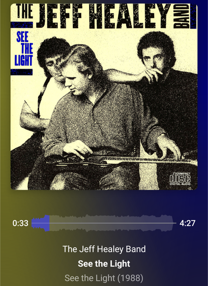 Jeff Healey See the Light album