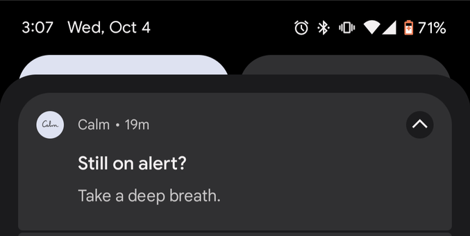 Calm(a mindfulness and meditation guidance app) has sent a notification asking if I am still on alert and to take a deep breath after the National Emergency Services Alert test