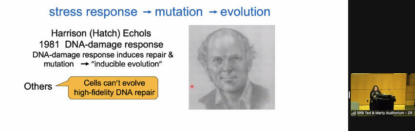 stress response leads to mutations and leads to evolution