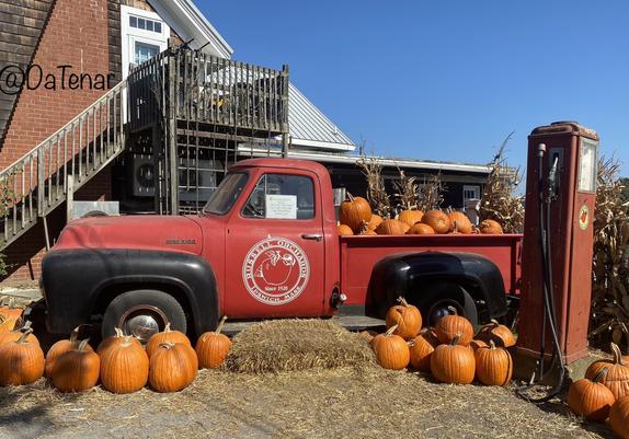 A still life/family photo setting behind the store. An old red Ford truck, loaded and surrounded by pumpkins. It has the Russell Orchards logo on the driver side door, & it’s next to an old gas pump of a similar color. Cornstalks & a hay bale (to stand on) accent the scene.