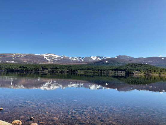 A photo of a Loch Morlich with the Cairngorm Mountains above. Deep blue cloudless sky, mountains across the whole scene with scattering of snow on the tops, pine forestry and then the clear, calm water with reflections from above. Shoreline with stones visible in the water.