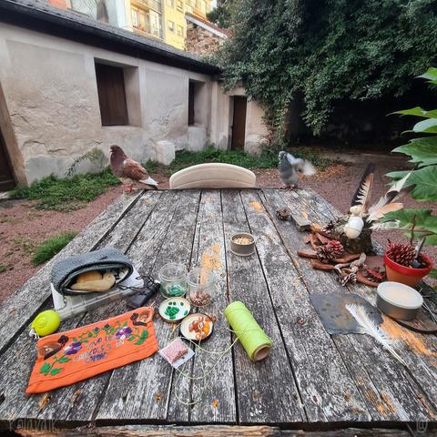 Photo couleur prise dans ma courette. Sur la table on voit différents outils et matériaux ainsi que deux pigeons: Mini-Roux-Relou et sa patoune blessés, ainsi qu'un autre qui tente de s'incruster.