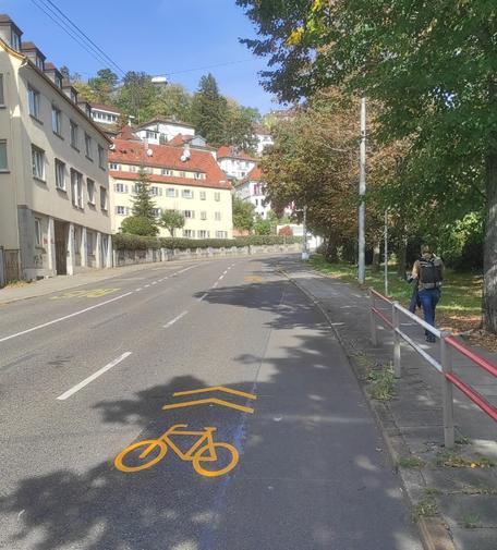 Sharrows in Stuttgart.