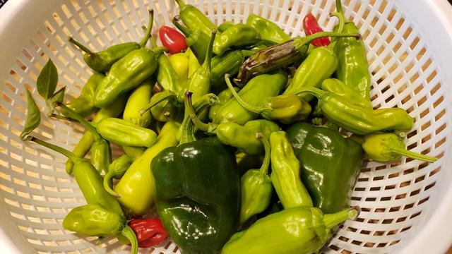 Banana and pepperoncini peppers in a collander.