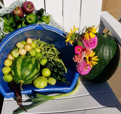 A close-up of the same net bag full of bellpeppers and poblanos set on top of a blue bucket full of tomatillos, an eggplant, green beans, poblanos, a few green tomatoes, and a small striped watermelon, next to a posey of flowers, a big dark green watermelon, and a stray leek.