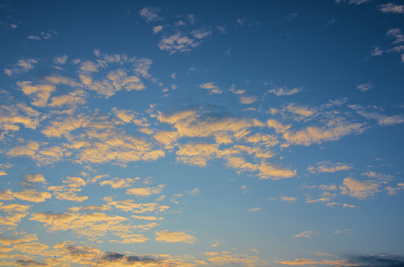 Light clouds, early morning