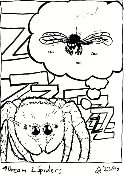 Spidey dreams of flying together with the flies.