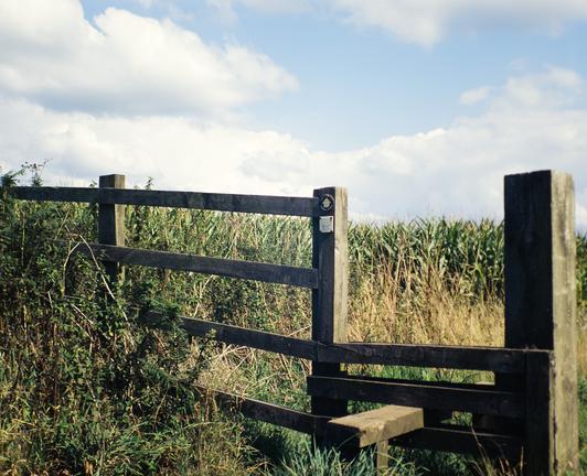 A 6x7 medium format Clouor Slide Film photo of a stile I encounter regularly on my walks in the local countryside.