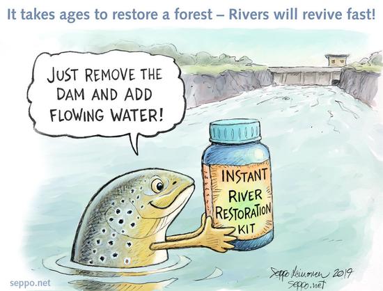 Trout in a river with a jar "Instant River Restoration Kit", a dam in the background.

Dam removal is instant restoration - just add water