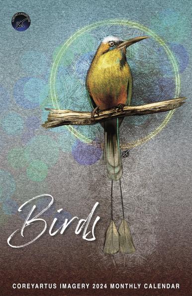 Cover illustration for a Bird Art Calendar. A Turquoise-Browed Motmot perched on a branch. Text says "Birds" and "Coreyartus Imagery 2024 Monthly Calendar".
