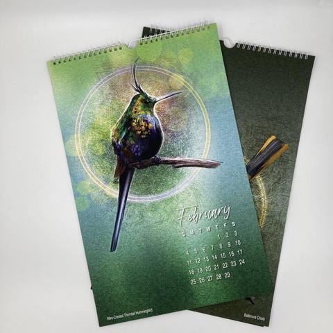 Picture of a page from an 11x17" art calendar of illustrated birds featuring a wire-crested thorntail hummingbird and the month of February.