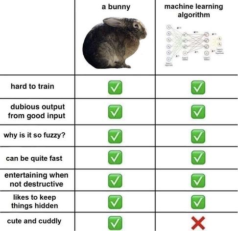 A comparison chart between bunny and machine learning. The latter's neither cute nor cuddly.