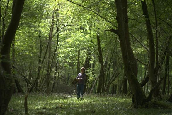 A man holding a harmonium standing amidst a bright green forest with the sunlight peeking through, his head looking up and his mouth open in song.