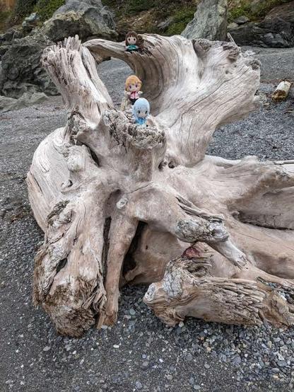 Cocoa and Chino plushies stand on a lower root below Chiya. All three are on silver gray driftwood roots.