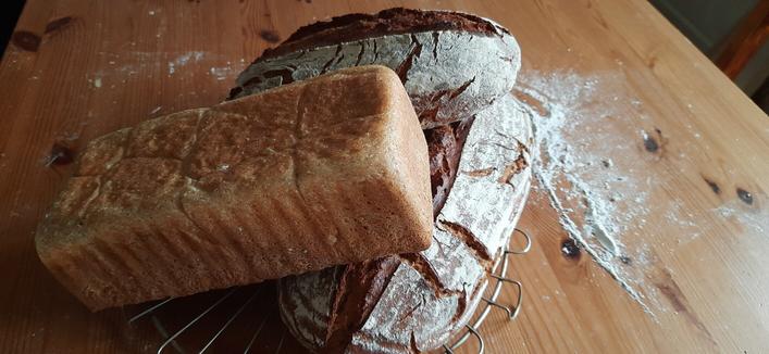 Zwei Roggenmischbrote und ein Toastbrot