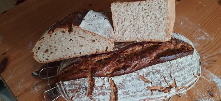 Brote. Roggenmischbrot als ganzer Laib und angeschnitten sowie Toastbrot angeschnitten