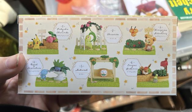 A box showing Pokémon in various backyard activities.
