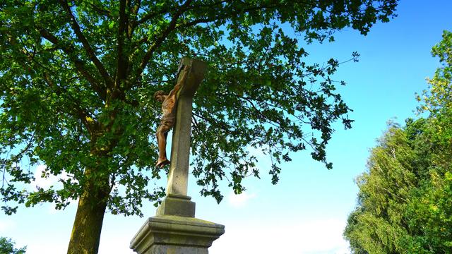 Wegekreuz unter einem Baum vor blauem Himmel.