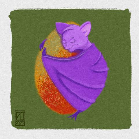 Bat hugging mango