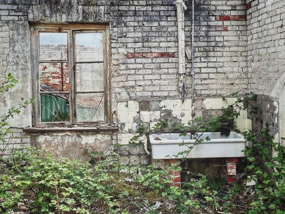 A photograph from the Sandbostel camp near Stade. A white walled room with a very weathered wooden window, in the right corner a white wash basin and white tiles, in the foreground many wild growing green plants.