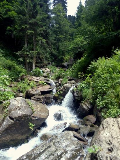 mountain stream surrounded by large stones, trees and other plants.  the vegetation is lush green