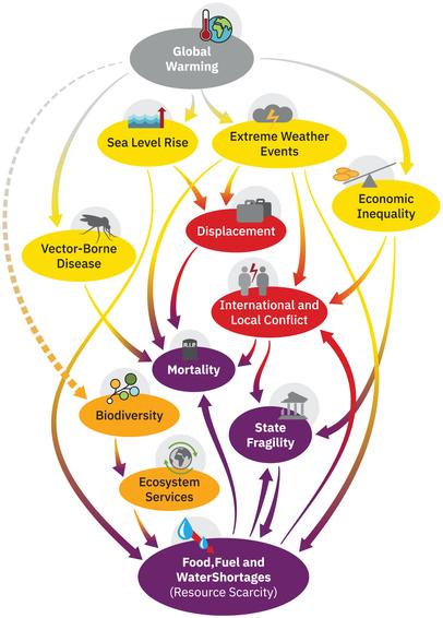 Questo è un diagramma ad anello causale, in cui una linea completa rappresenta una polarità positiva (ad esempio, amplificando il feedback; non necessariamente positivo in senso normativo) e una linea tratteggiata denota una polarità negativa (che significa un feedback di smorzamento).