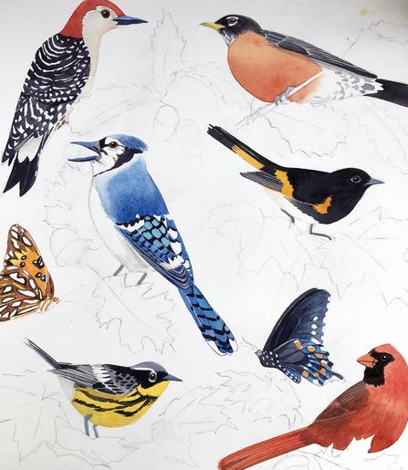 painting of american birds